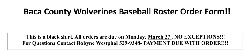 2023 Baseball Shirts Order Form